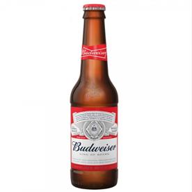 BUDWEISER 20 X 300ML