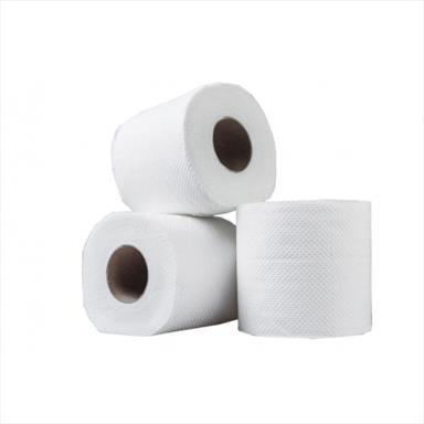 TOILET ROLLS 40PK